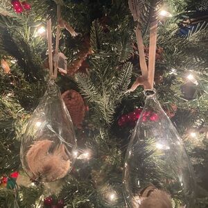 Elegant Clear Glass Teardrop Ornaments